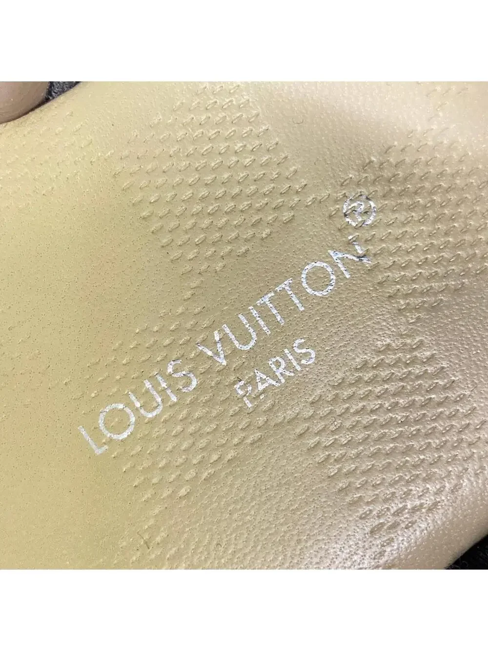 Louis Vuitton Chameleon Sandal 1Ahoat #277596L79B